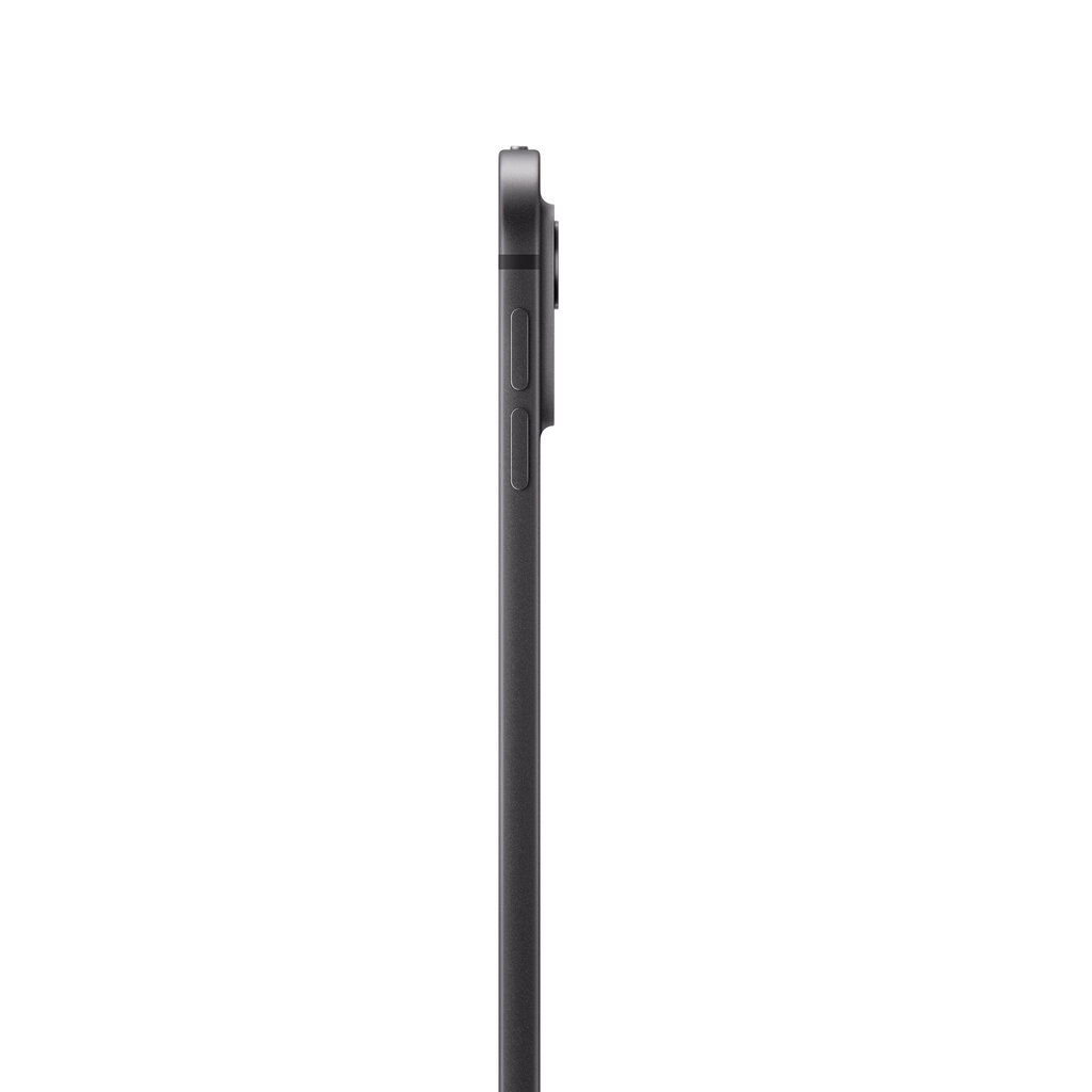 13-collu-ipad-pro-wifi-512gb-ar-1a23f-cena_reference